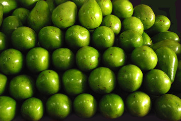 aguacate comida deliciosa verde treopical