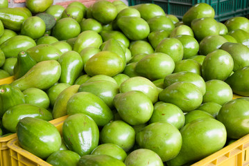 aguacate comida deliciosa verde treopical