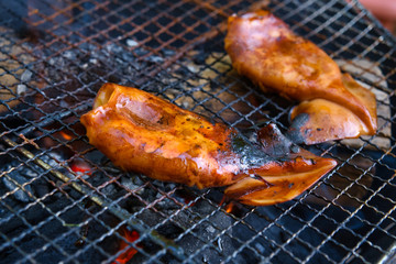 イカ焼き　バーベキュー　炭火でイカのぽっぽっ焼き