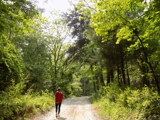 jogging in the forest