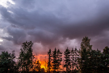 Sunset with beautiful cloudy sky and treeline