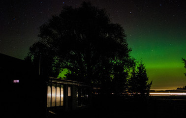 Northern lights in night sky surround by trees