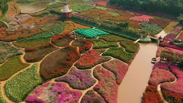 HANOI, VIETNAM - APRIL, 2020: Aerial view of the flower garden with decorative mill and view of the west lake of Hanoi.