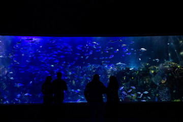 People on aquarium exhibition