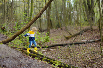 Preschooler child wearing yellow rain boots walking in forest after rain. Kid playing and having fun in sunny spring or summer day.