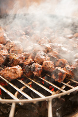 Shashlik grilling on grill with live flame