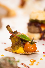 Obraz na płótnie Canvas Appetizer snack with meat, vegetables and bread