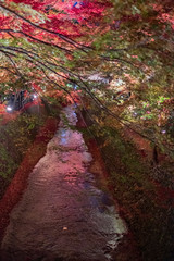 Kitano Tenmangu in Kyoto, Japan