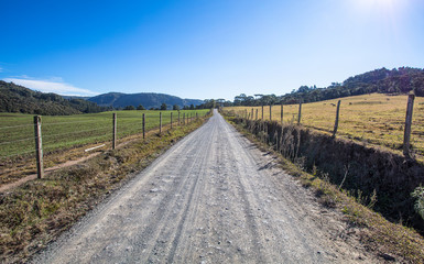 Fototapeta na wymiar Paisagem rural com estrada de terra