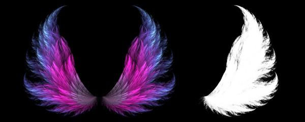 Magical animal wings with white clipping mask © Prime