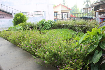 The atmosphere of the park during the corona virus pandemic in the Jakarta city park.