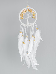White dreamcatcher - Indian amulet that protects the sleeper from evil spirits and diseases.. The tree - symbol of life.