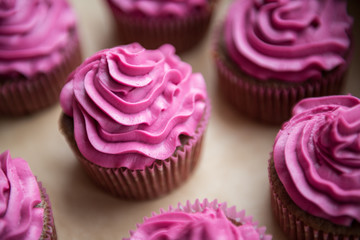 Chocolate cupcakes with raspberry cream on top