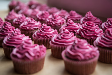 Chocolate cupcakes with raspberry cream on top