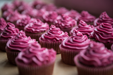 Chocolate cupcakes with raspberry cream on top