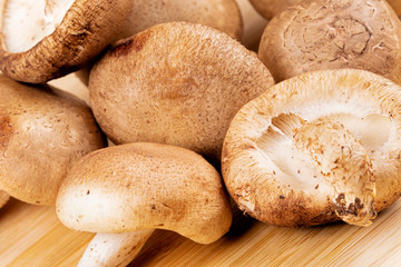 Background of delicious edible brown mushrooms