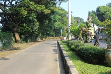 Park in the middle of the street Jakarta. Park to beautify the road. Greening program for public roads. Ornamental plant program on the road.