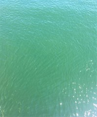 Glistening Sea