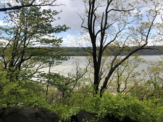 River through the trees