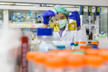Close up of Scientist looking at plants in test glassware in laboratory, Selective Focus, Concept science and technology, Science background