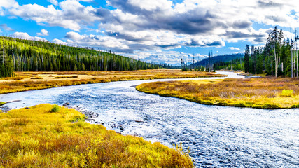 Fall colors surrounding the Lewis River at the crossing with Highway 287 in Yellowstone National Park, Wyoming, United States