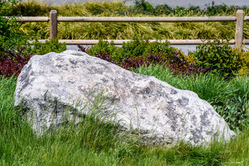 Large decorative rock in a garden with a wood fence in the background
