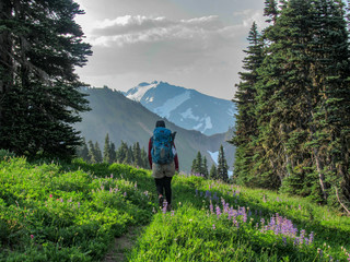 Woman hiking with mountains and flowers
