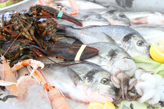Pesce fresco su di un bancone di un ristorante italiano