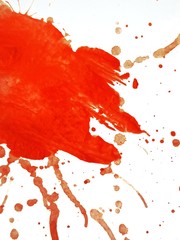 watercolor splash on white background