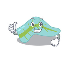 Pancreas cartoon character design showing OK finger