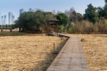 garden of southern Changjiang delta in China