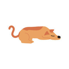 Cute Cartoon dog, Vector illustration dog on a white background. Drawing for children