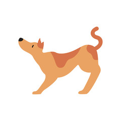 Cute Cartoon dog, Vector illustration dog on a white background. Drawing for children