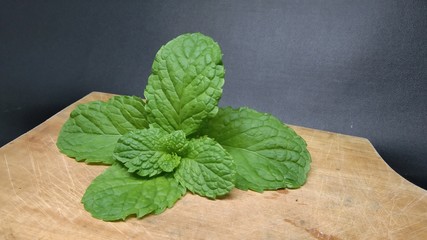 fresh green mint leaves isolated on black background, top view