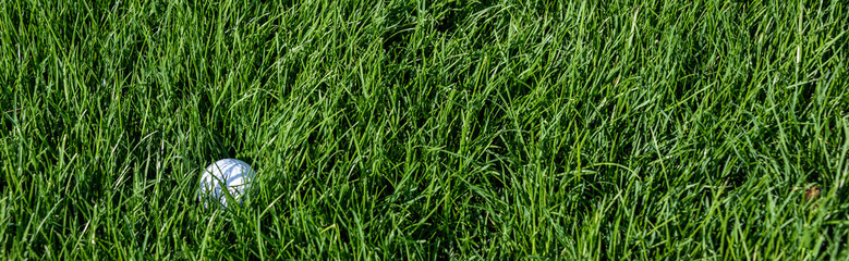 White golf ball embedded in the tall grass of a golf course rough
