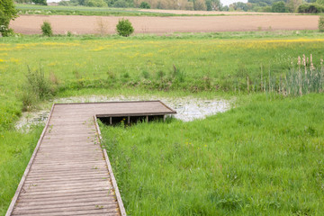 An natural biological pool