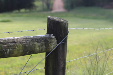 barbed wire fence