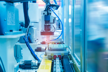 green ivy isolated on a white background.