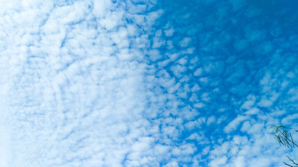 Clouds that spread in the clear sky.