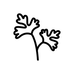 leaves of herbal coriander icon vector. leaves of herbal coriander sign. isolated contour symbol illustration