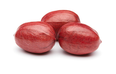 Pecan Isolated on White Background