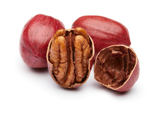 Pecan Isolated on White Background