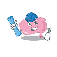 caricature picture of brain Architect with blue prints