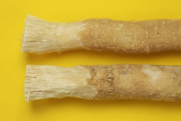 Miswak natural toothbrush close-up on a  yellow background.Dental hygiene.Miswak sticks  plant.Vegetable toothbrush. Alternative hygiene and health by nature.