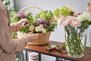 Fototapete bei efototapeten.de bestellen   