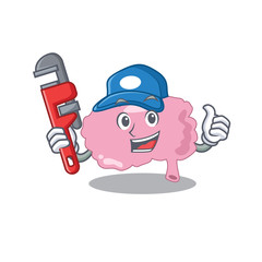 cartoon character design of brain as a Plumber with tool