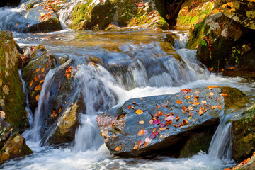 Fall Color and Dark Hollow Falls on the Hogcamp Branch of the Rose River, Shenandoah National Park,Virginia, USA