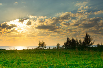 Paisagens de Praia