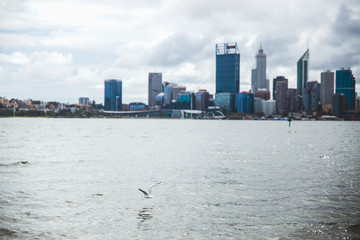 Fototapeta premium Perth, Australia Zachodnia