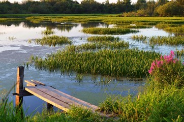 canoe on the lake